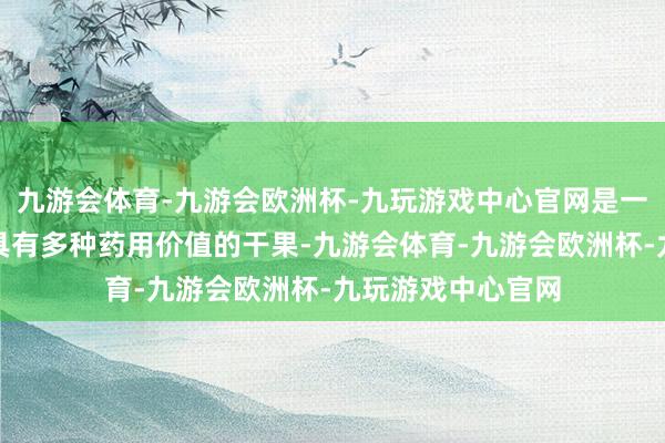 九游会体育-九游会欧洲杯-九玩游戏中心官网是一种养分价值高、具有多种药用价值的干果-九游会体育-九游会欧洲杯-九玩游戏中心官网